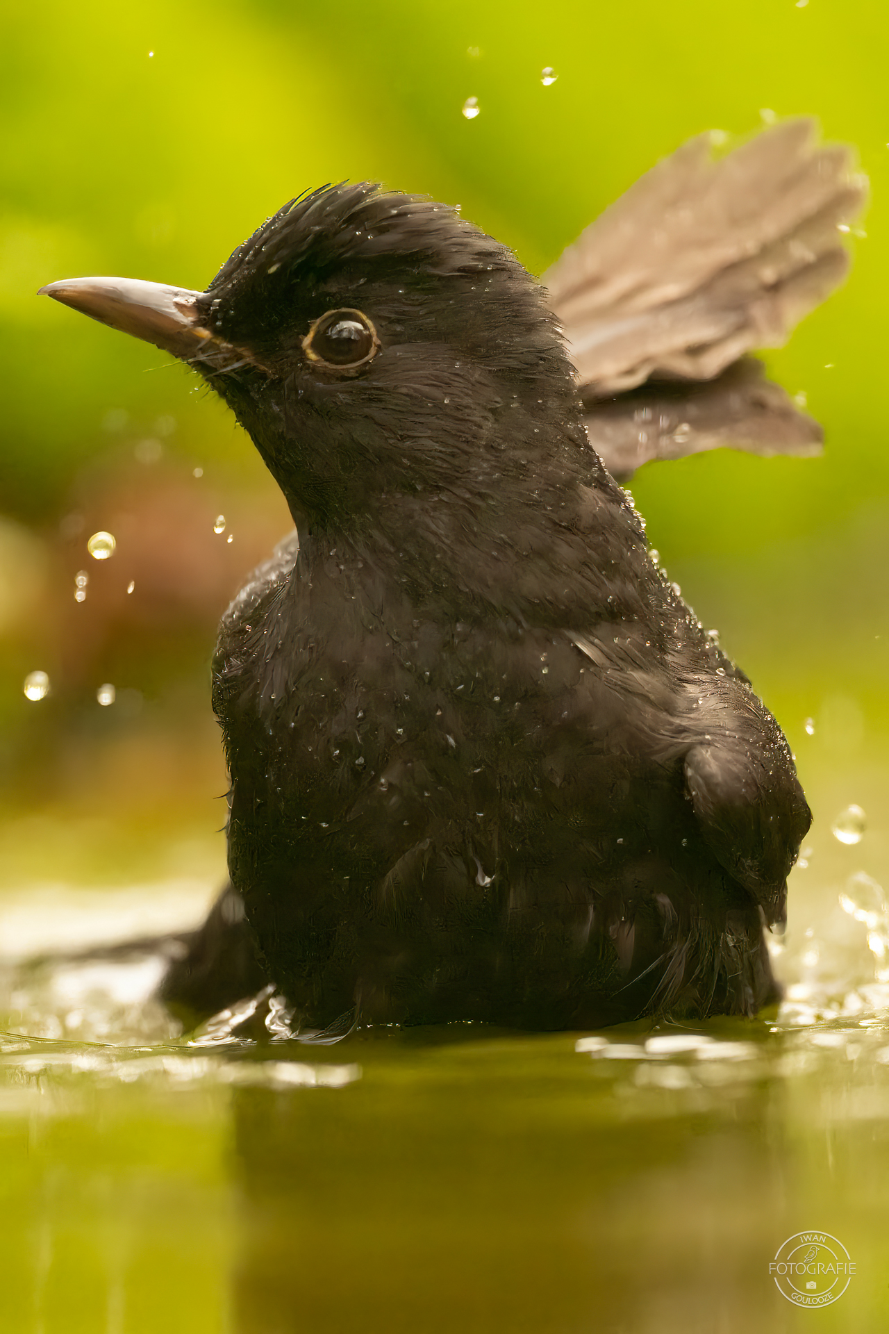 23 oktober 2022 123942 1R2A0254 bewerkt 2 bewerkt